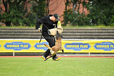 Stylish Motion`s Apple